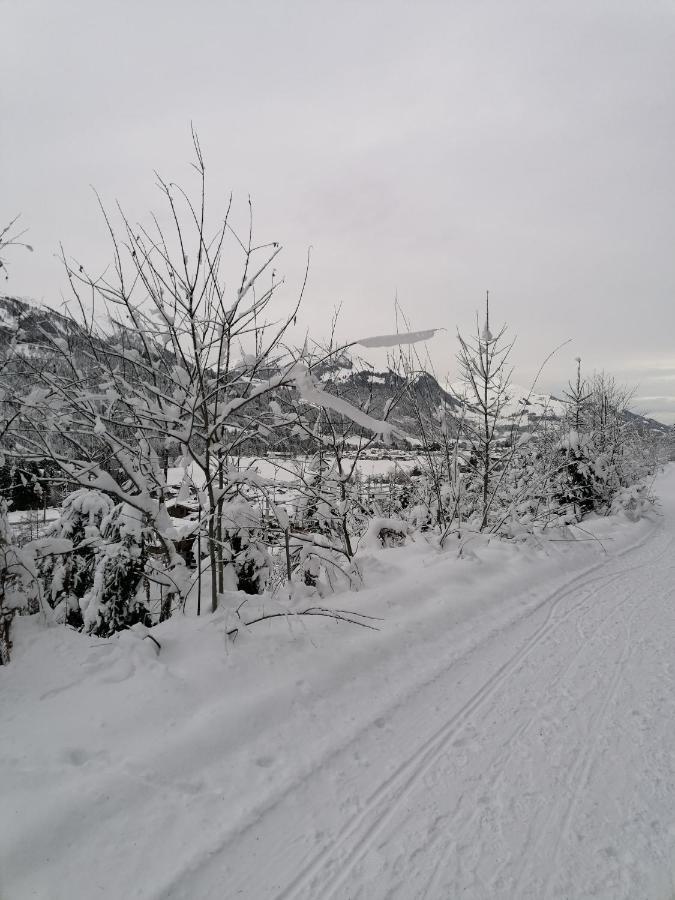 Ferienwohnungen Vordergriess Hochfilzen Extérieur photo