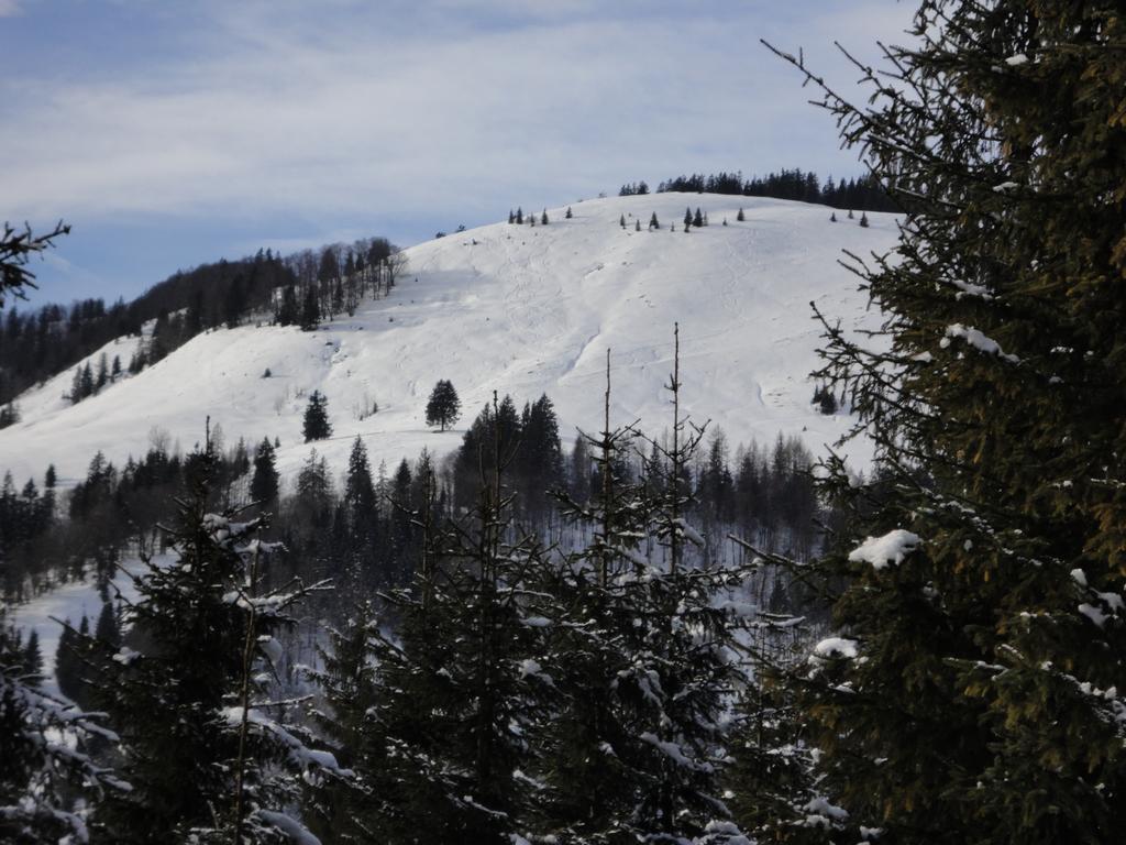 Ferienwohnungen Vordergriess Hochfilzen Extérieur photo