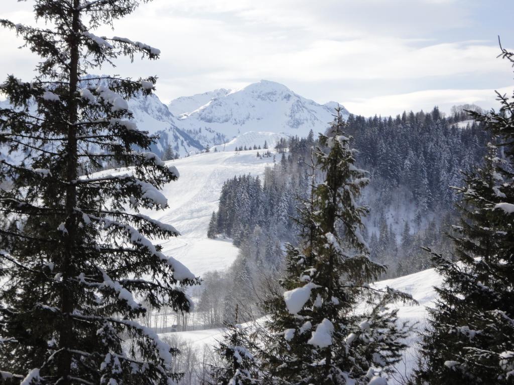 Ferienwohnungen Vordergriess Hochfilzen Extérieur photo