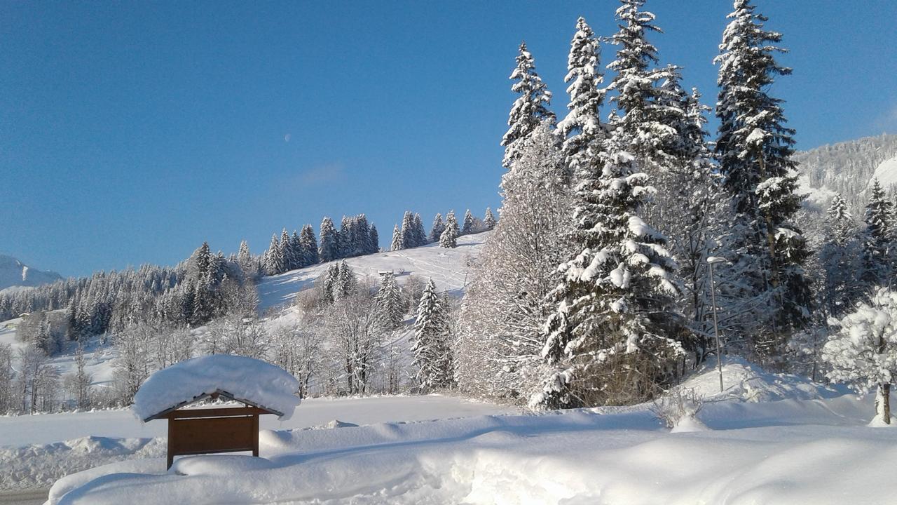 Ferienwohnungen Vordergriess Hochfilzen Extérieur photo