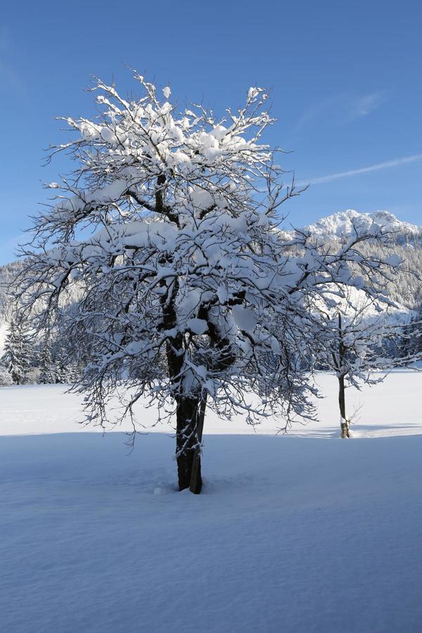 Ferienwohnungen Vordergriess Hochfilzen Extérieur photo
